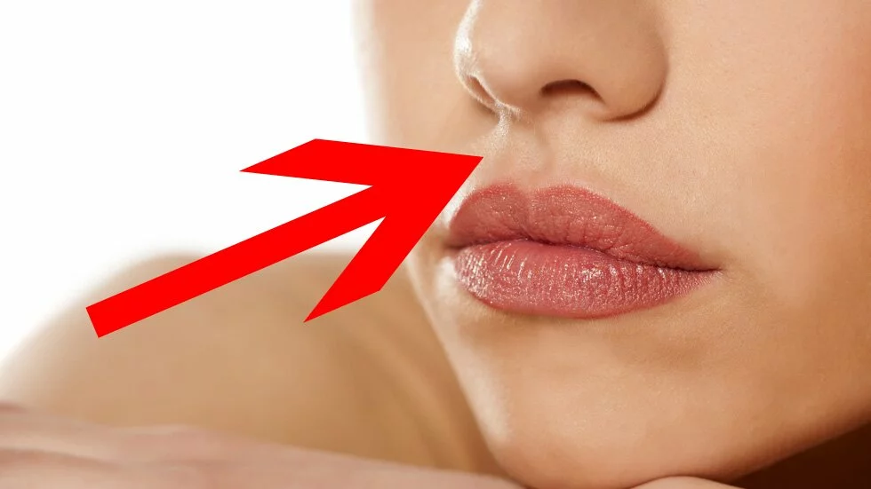 D’où vient la fossette entre le nez et les lèvres? D’où vient la fossette entre le nez et les lèvres?