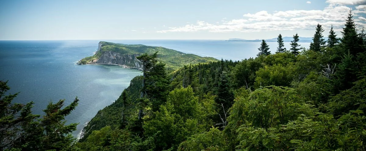 La Gaspésie se dirige vers une année record de fréquentation La Gaspésie se dirige vers une année record de fréquentation